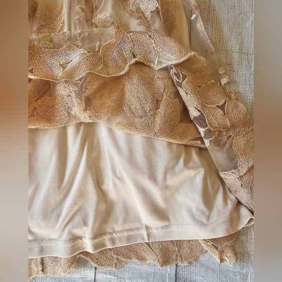 Adrianna Papell Size 12 Blush gold mesh embroidered short illusion dress New Tag - Picture 11 of 14